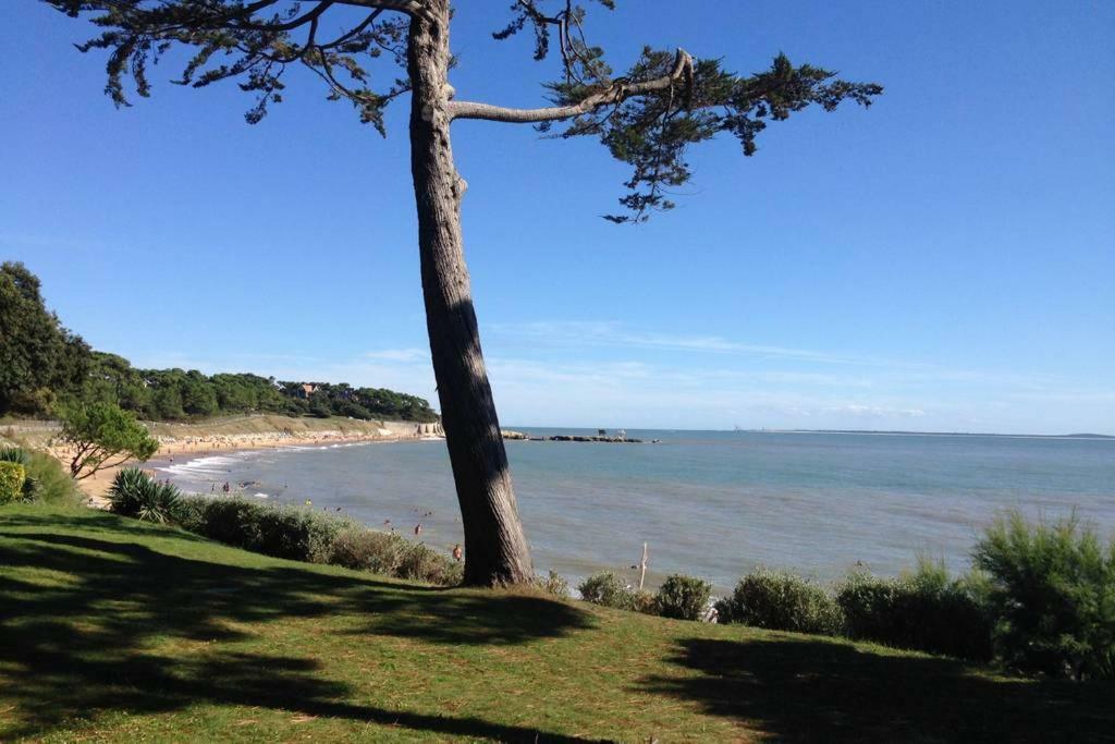 18 Rue De La Corvette Leilighet Saint-Palais-sur-Mer Eksteriør bilde
